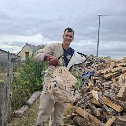 Désinsectisation professionnelle à Durtal – destruction de frelons, guêpes, abeilles et autres